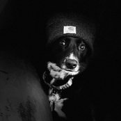 Foto de Alexis Hedquist
