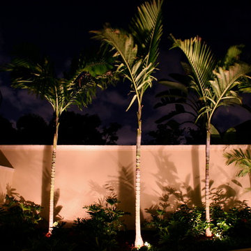Landscape Lighting