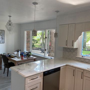 White Contemporary Kitchen