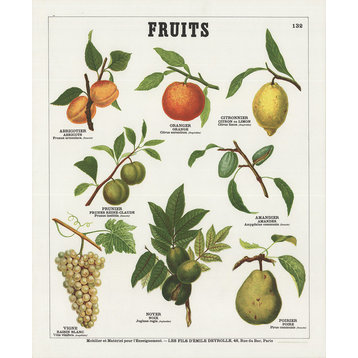 Consigned, Emile Deyrolle, Fruits II, Litograph
