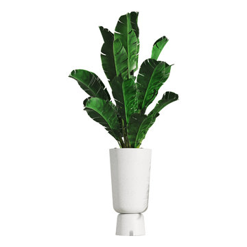 Eden Planter D