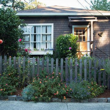 My Houzz: Colorful Garden Oasis in Marin County