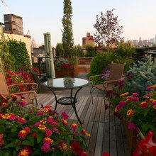 Garden and Deck