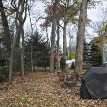 Back Yard Re-do