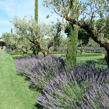 Jardin à Saint Rémy de Provence