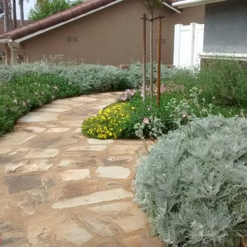 Mission Viejo Habitat Front Yard