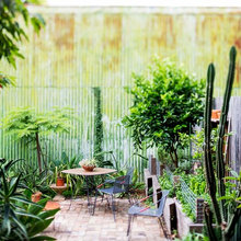 Jardin / extérieur