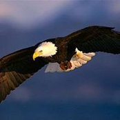 David McClintock's photo