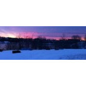 Tammy Clark's photo