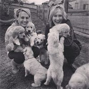 Stef Zile's photo
