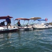 Tamara McClain's photo