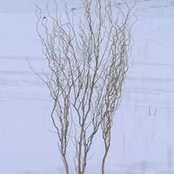 Beth Tietjen's photo