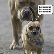 Ben Allison's photo
