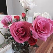 Sarah Cheezum's photo