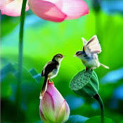 Shichao Wang's photo
