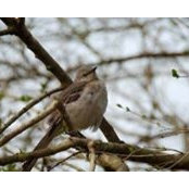 Angie Sciara's photo