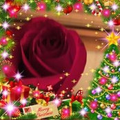 Rita Cauleys foto