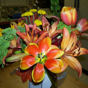 Donna Dunaway's photo
