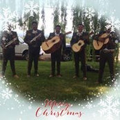 Mariachi Alma Sureña's photo