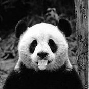Susan Williams's photo