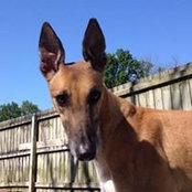 Elizabeth Mork's photo