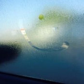Denise Nuchols's photo