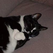 Susan Kenney's photo
