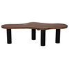 NOIR Furniture - Schulz Coffee Table in Dark Walnut with Black Steel Base - GTAB