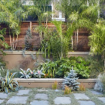 Garden in the City