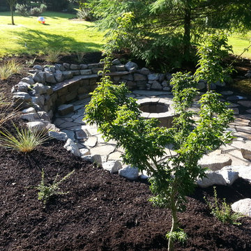 Lion's Mane Shishishagira Japanese Maple & Blue Oat Grass