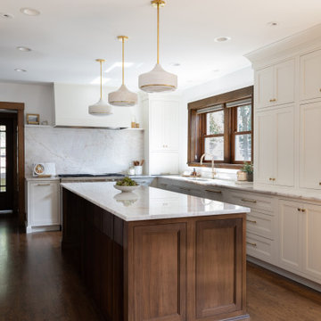 Western Springs Kitchen Remodel