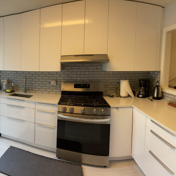 Small Kitchen Renovation