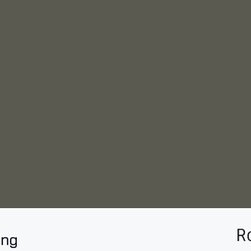 Rochele Colours - Products