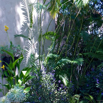 Dymondia Grass and Mexican Beach Stone ground cover