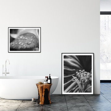 Bloodflowers and Palm Black and White Floral Wall Art Prints