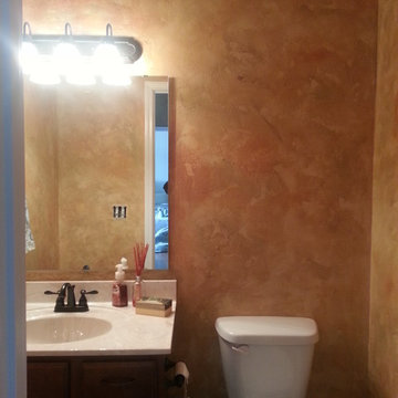 Sandstone Plaster Powder Room