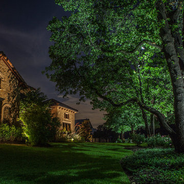 Low Voltage Up Lighting and Moon Lighting- Southlake