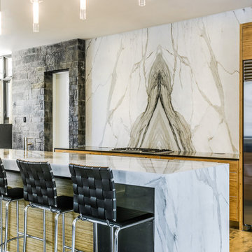 MidCentury Modern Open Concept Kitchen and Living Room