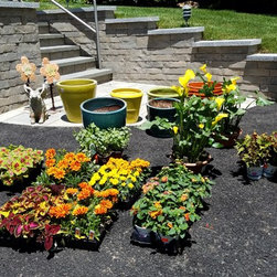Season Flowers - Products
