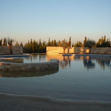 Mediterranean garden