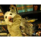 Barbara Hicks's photo