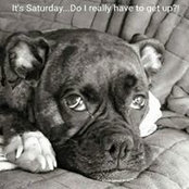 Stacy Forstein's photo