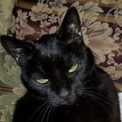 Lynn Knapp's photo