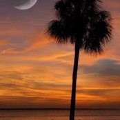 Christine Kauffman Breitenbach's photo