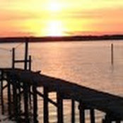 Julie Smith's photo