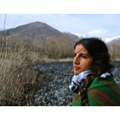 Shadi Shariat's photo