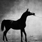 Steven Mendenhall's photo