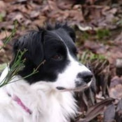 Denice Twardy's photo