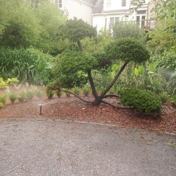 Topiary Installation