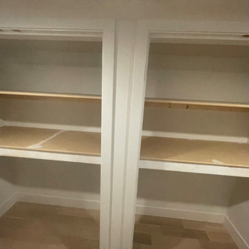 Custom shelving and hidden door